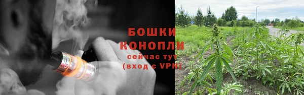 spice Рославль
