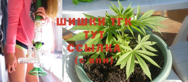 сатива Богородск